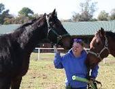 Volunteer with horses