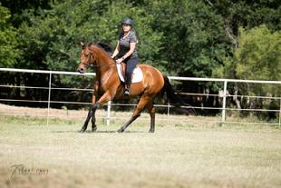 RRP ELIGIBLE