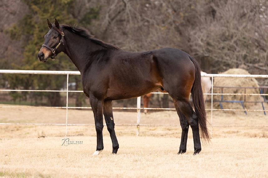 Easilyunbridled